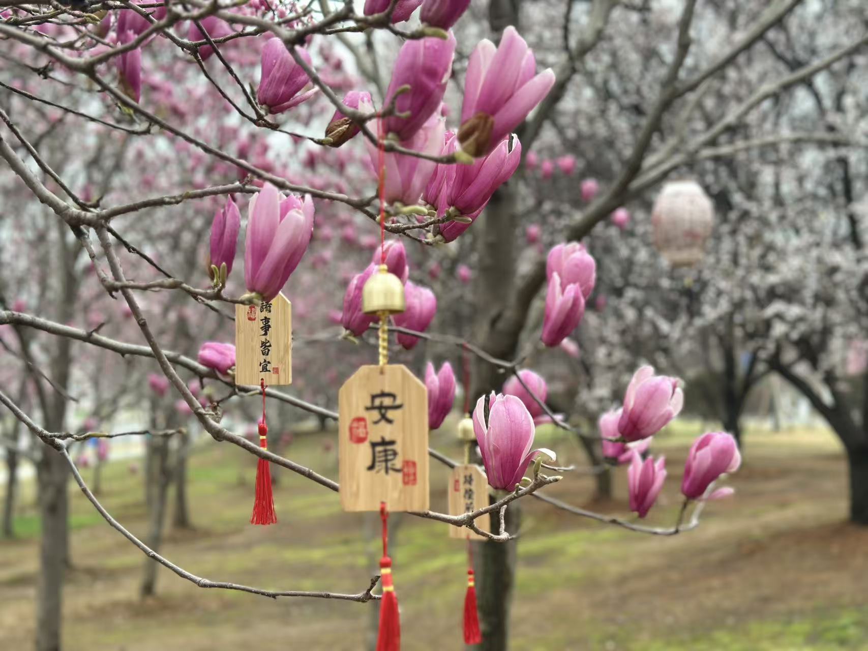 Spring